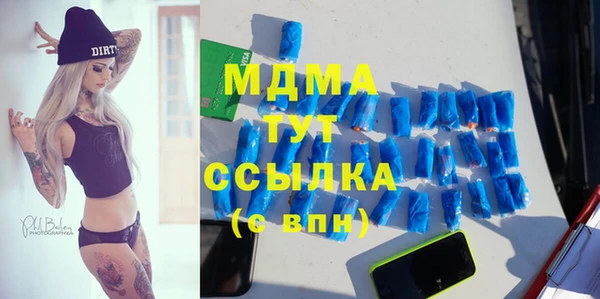 прущие грибы Новодвинск