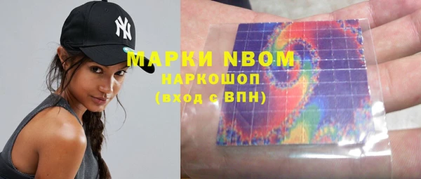 крисы Новозыбков