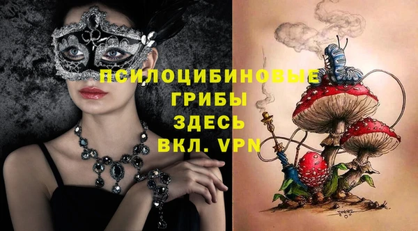 jwh Бикин