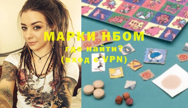 крисы Новозыбков