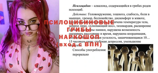 крисы Новозыбков