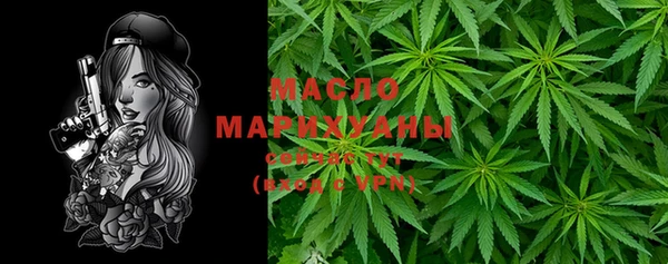 прущие грибы Новодвинск