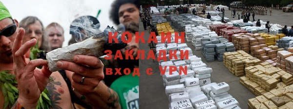 прущие грибы Новодвинск