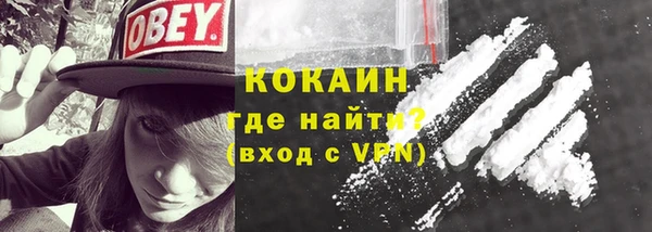 прущие грибы Новодвинск