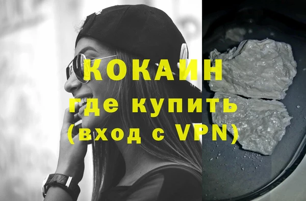 крисы Новозыбков