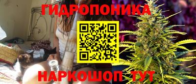 хмурый Гатчина