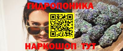 хмурый Гатчина