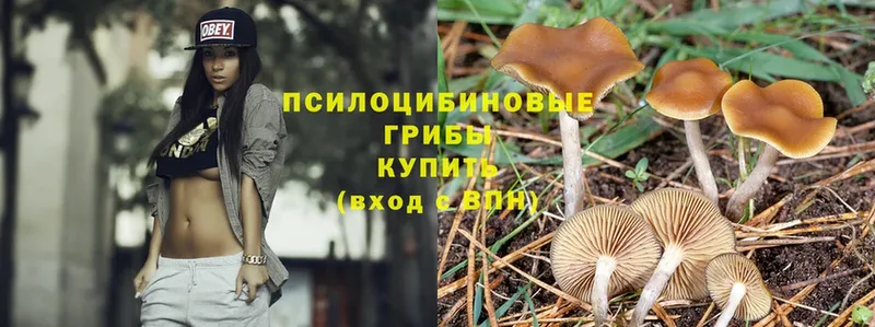 Галлюциногенные грибы Magic Shrooms  закладка  Лабытнанги 