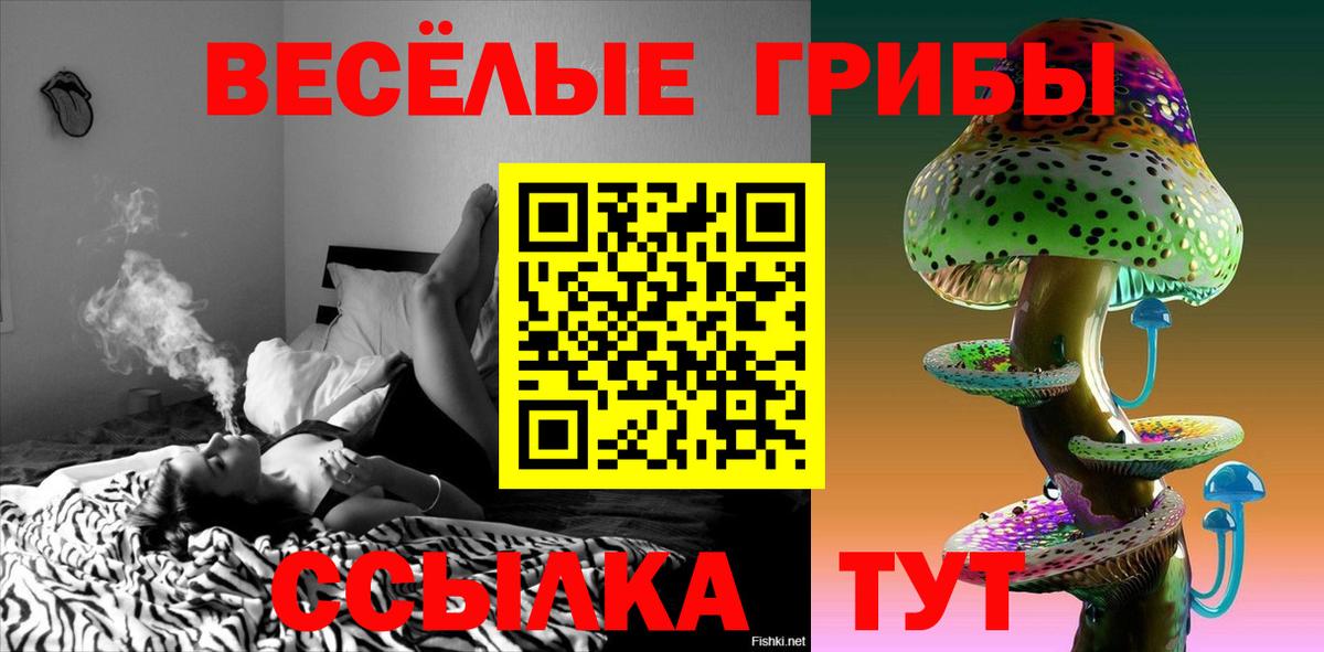 Галлюциногенные грибы прущие грибы Лабытнанги